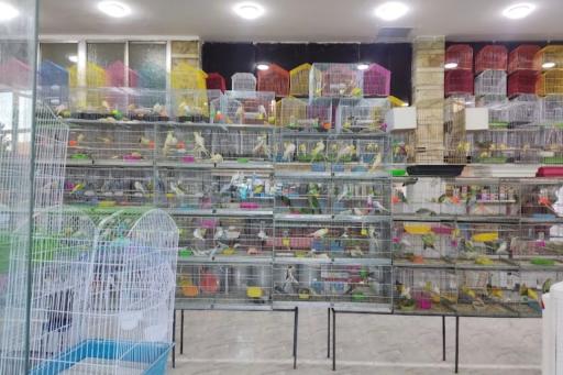 عکس پرنده فروشی فرزاد