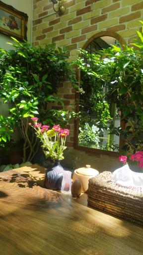 عکس صبحانه نیمروز