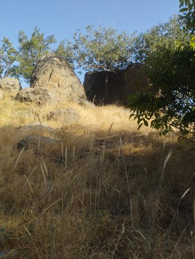 عکس بوستان صحرا