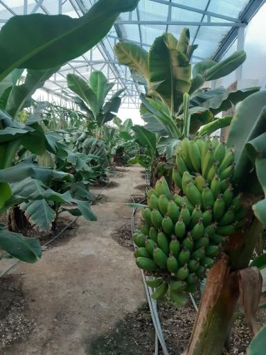 عکس جنگل استوایی آمازون