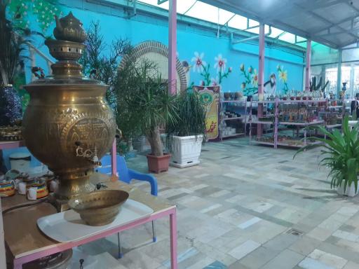 عکس جنگل استوایی آمازون