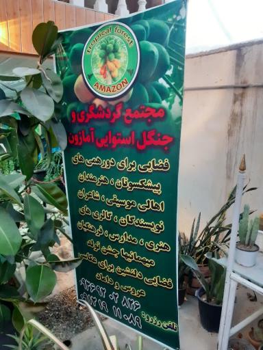 عکس جنگل استوایی آمازون