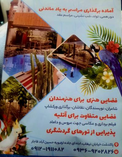 عکس جنگل استوایی آمازون