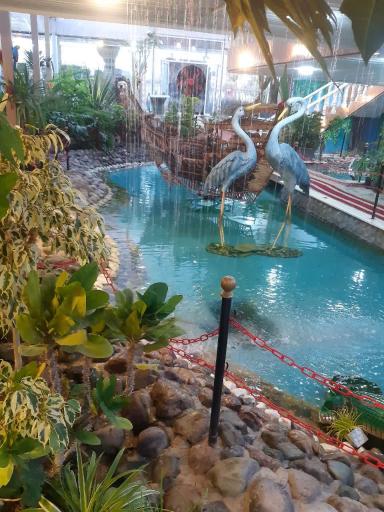 عکس جنگل استوایی آمازون