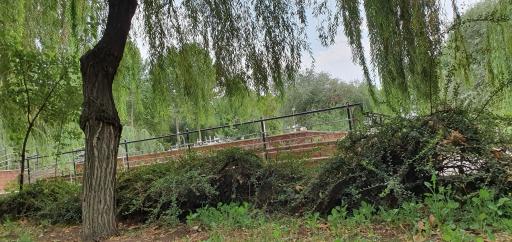 عکس پارک کوثر