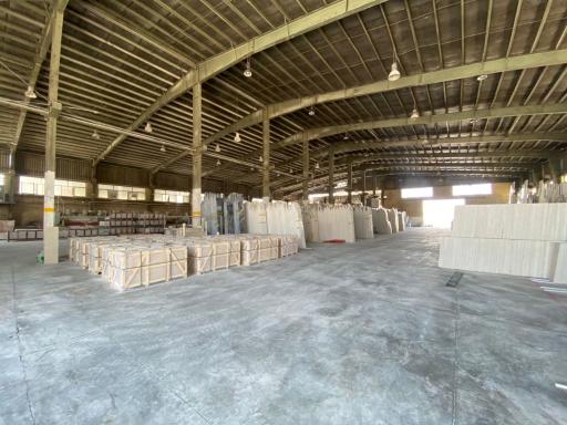 عکس سنگبری امیر مهدی