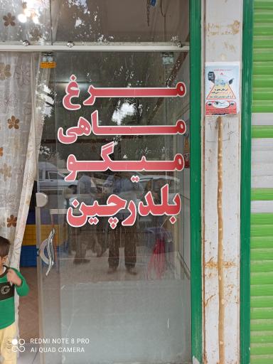 عکس مرغ و ماهی جنوب