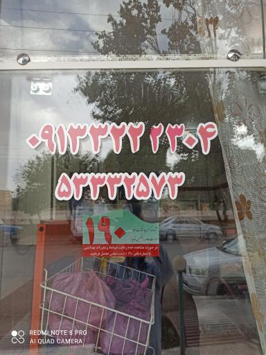 عکس مرغ و ماهی جنوب