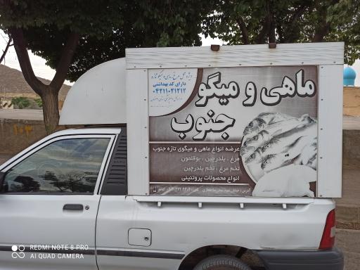 عکس مرغ و ماهی جنوب