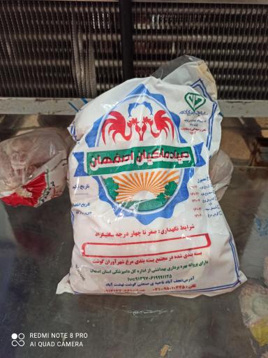 عکس مرغ و ماهی جنوب