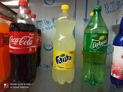 عکس مرغ و ماهی جنوب