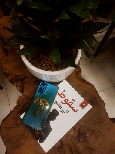 عکس کافه کامو