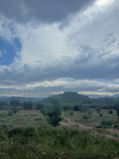 عکس لوشان