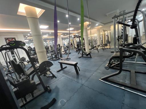 عکس باشگاه ورزشی نیرومان