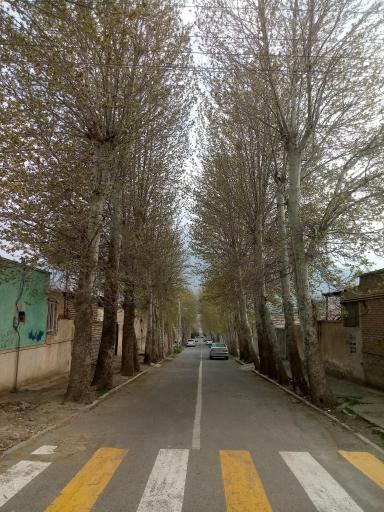 عکس لوشان