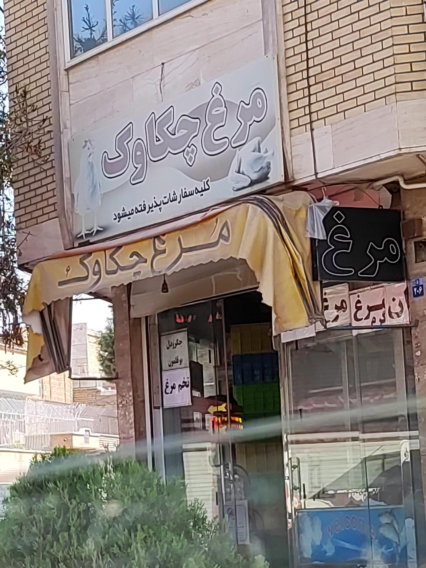 عکس مرغ چکاوک 
