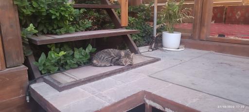 عکس رستوران و مجموعه گردشگری آتردات