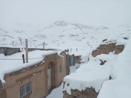 عکس دیسفان