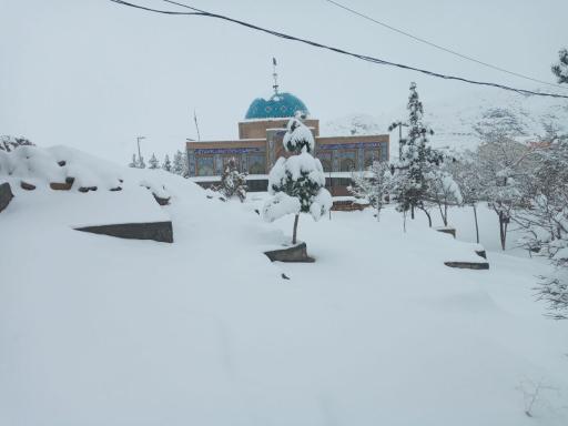 عکس دیسفان