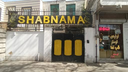 عکس تولیدی لوستر شب نما