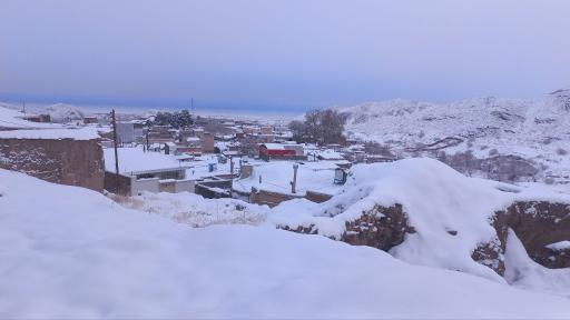 عکس دیسفان