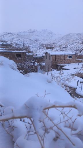 عکس دیسفان