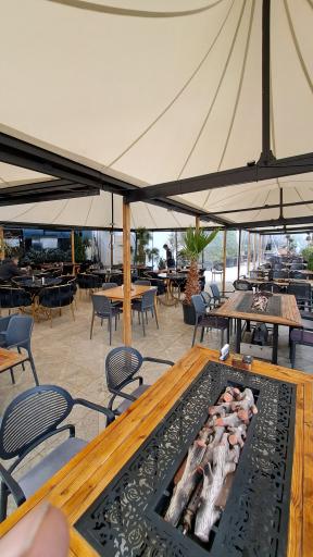 عکس کافه رستوران راینو