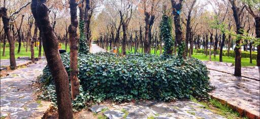 عکس بوستان پیروزی