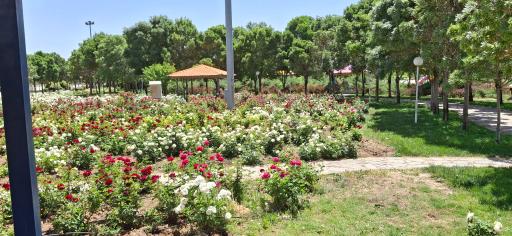 عکس پارک کوثر