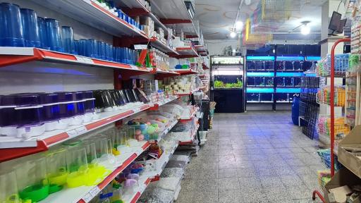 فروشگاه لوازم پرنده و آکواریوم سیمرغ