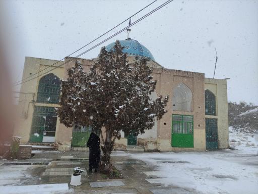 عکس دیسفان