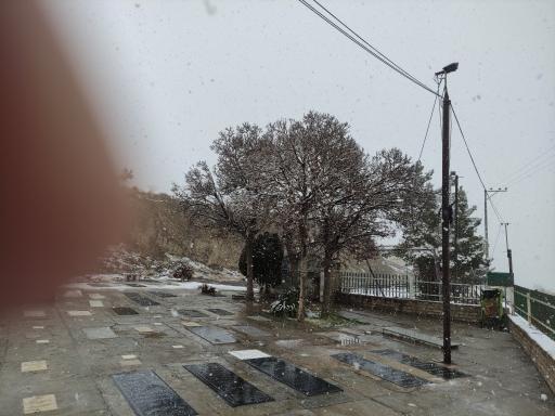 عکس دیسفان