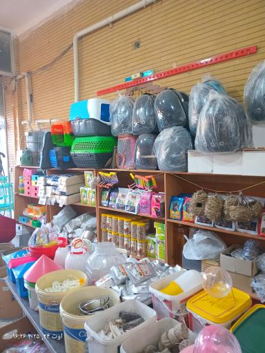 عکس قصر طوطی