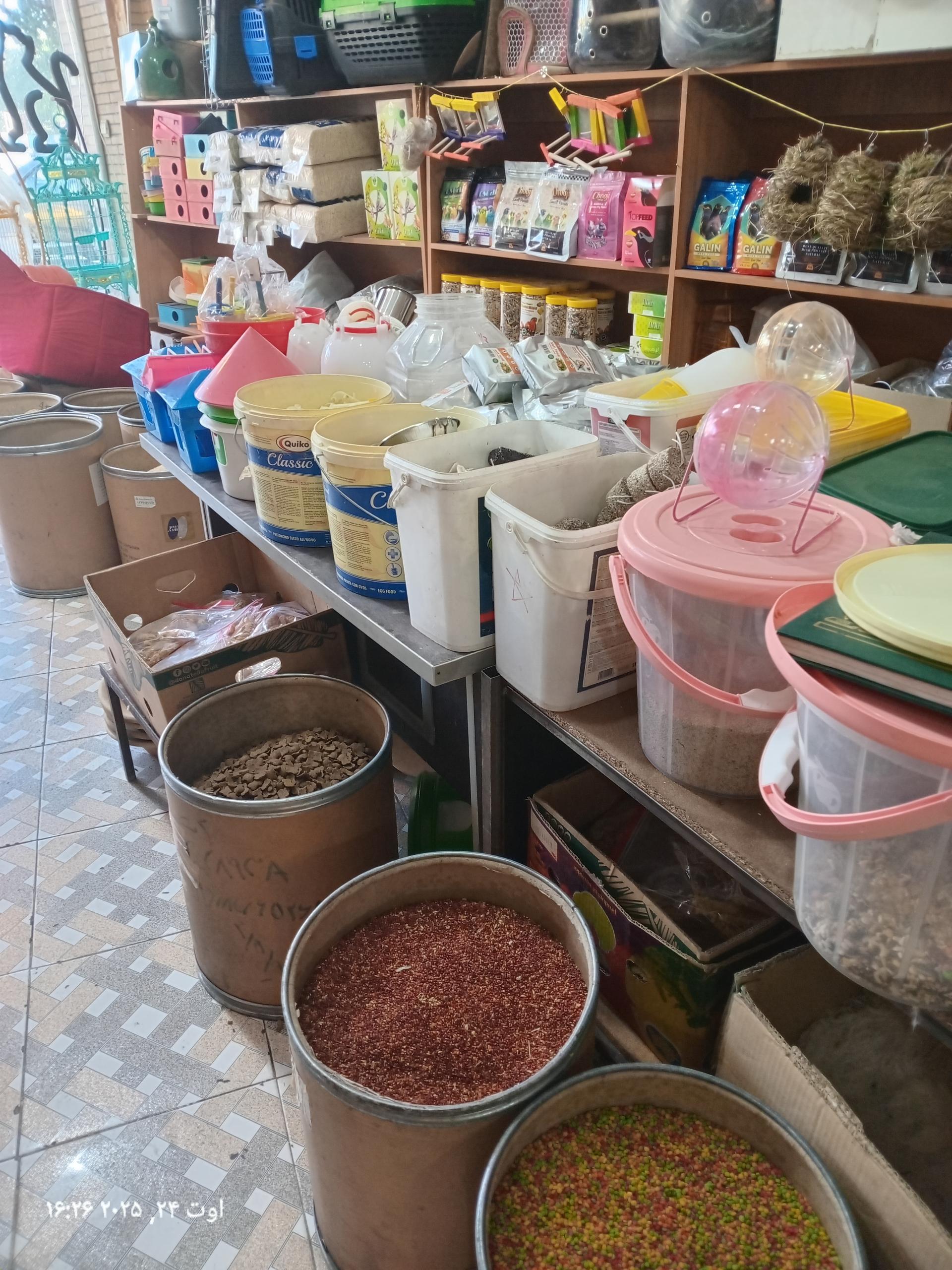 عکس قصر طوطی