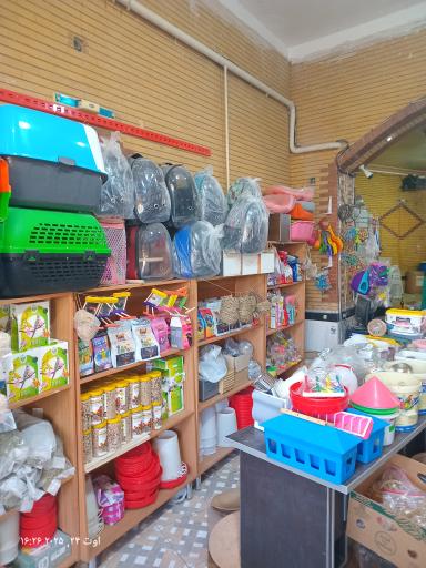 عکس قصر طوطی