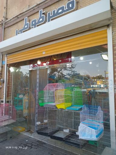 عکس قصر طوطی