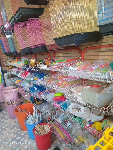 عکس قصر طوطی