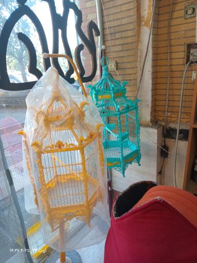 عکس قصر طوطی