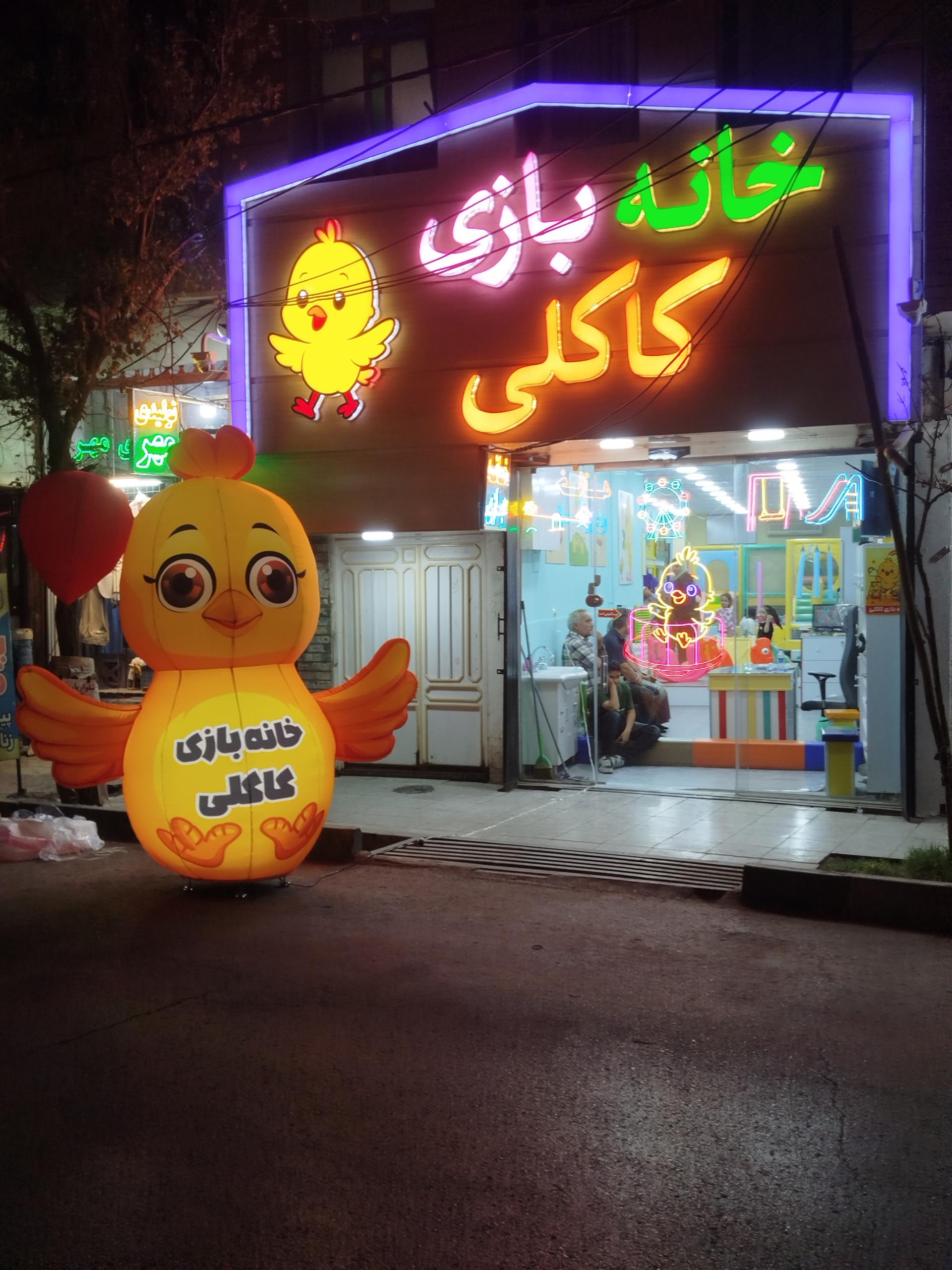 عکس خانه بازی کاکلی