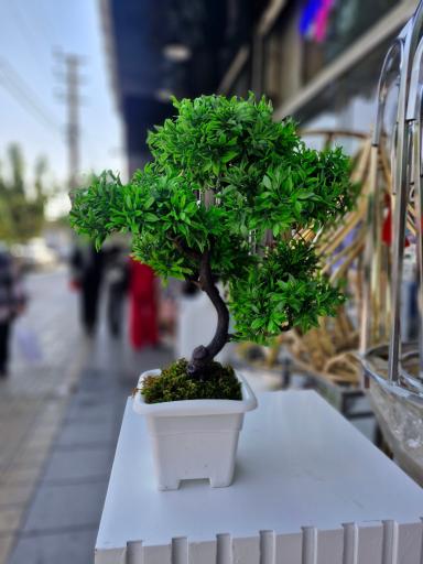 عکس گل مصنوعی و شلف دیواری تاپ گل لیزر
