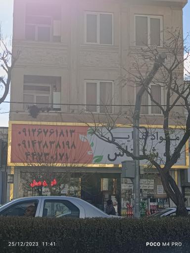 عکس مواد غذایی شه شناس