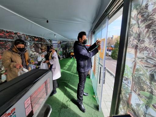 عکس گلماند منطقه ۸