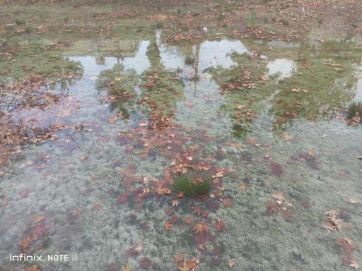 عکس چشمه آب صفی آباد