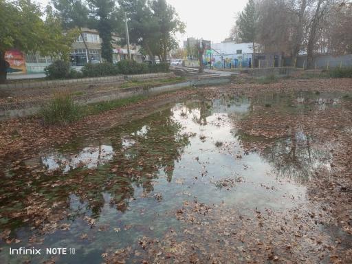 عکس چشمه آب صفی آباد