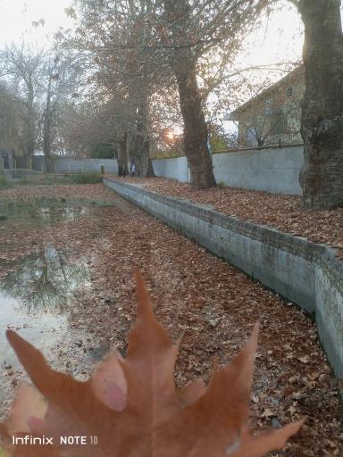 عکس چشمه آب صفی آباد