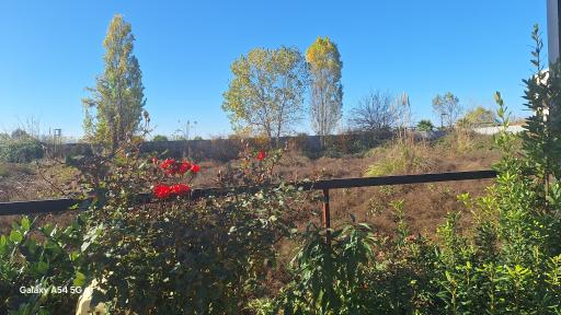 عکس عمارت سفید