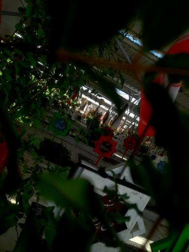 عکس گلزار شهدا