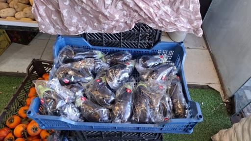 عکس میوه مارکت رضا