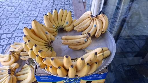 عکس میوه مارکت رضا