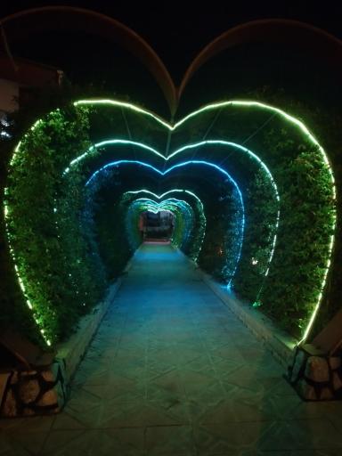 عکس اردوگاه حبیب ابن مظاهر سازمان بهزیستی کشور